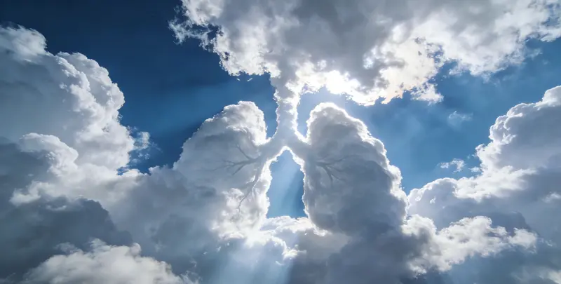 鄂尔多斯肺癌120基因ctDNA突变检测(血液）图片1