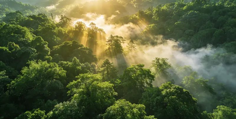 鄂尔多斯肺癌（EGFR T790M)突变检测图片1