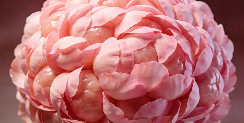 鄂尔多斯BRCA1/2乳腺癌卵巢癌基因检测图片1