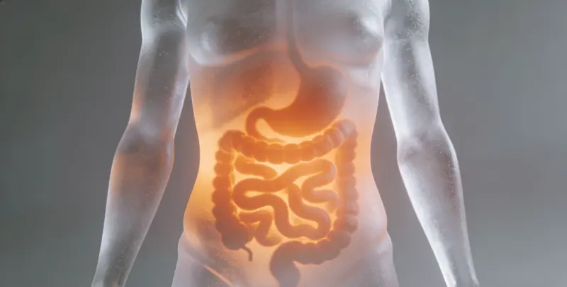 鄂尔多斯肠癌甲基化检测图片1